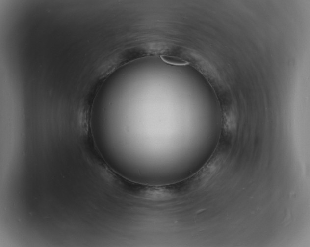 X0000102780666200808181151