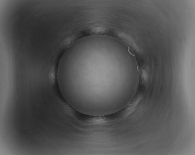 X0000102780668200808181151