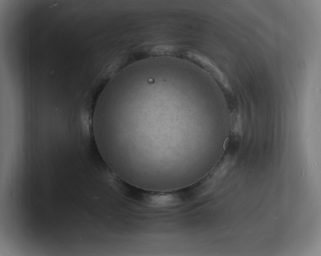 X0000102780669200808181151