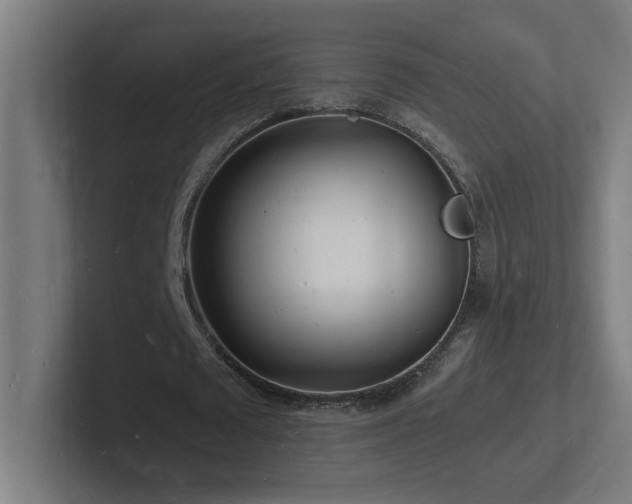 X0000102780673200808181150