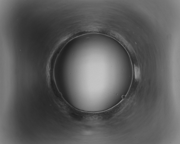 X0000102780675200808181150