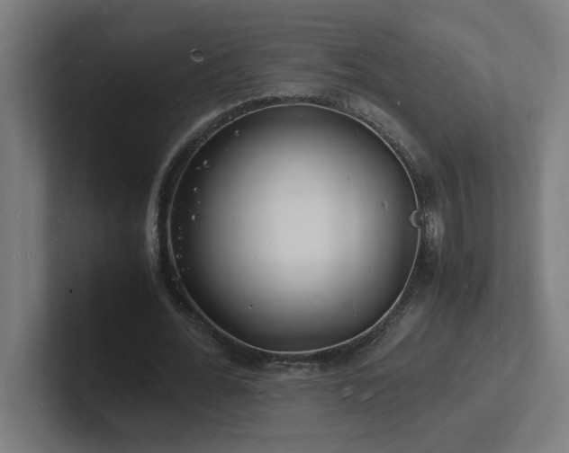 X0000102780676200808181150