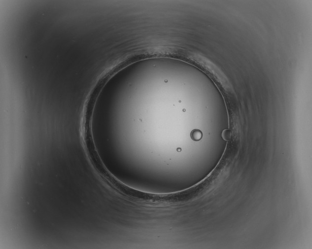 X0000102780677200808181150