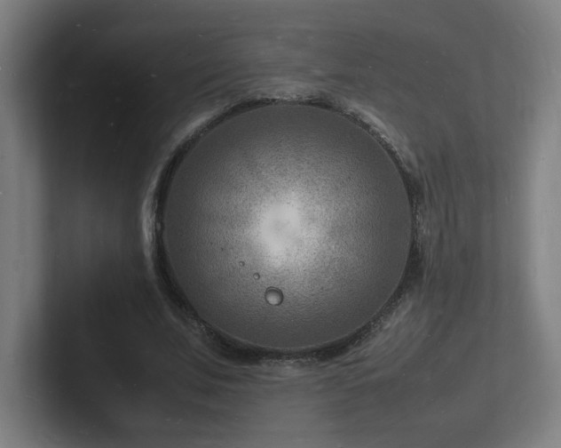 X0000102780679200808181150