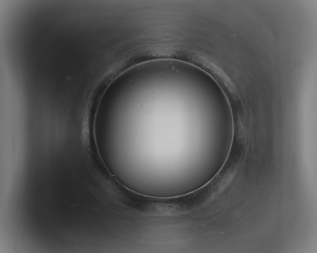 X0000102780681200808181150