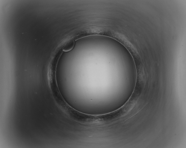 X0000102780683200808181150