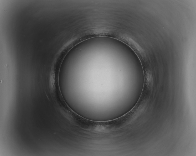 X0000102780684200808181150