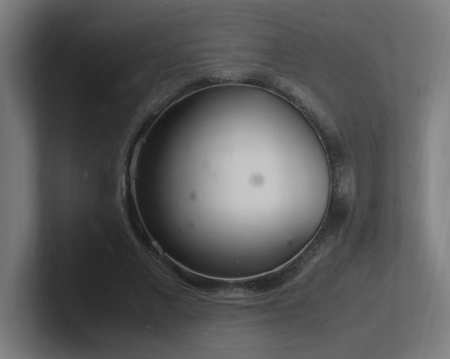 X0000102780685200808181150