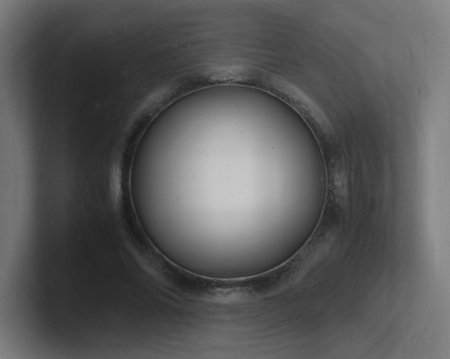 X0000102780686200808181150