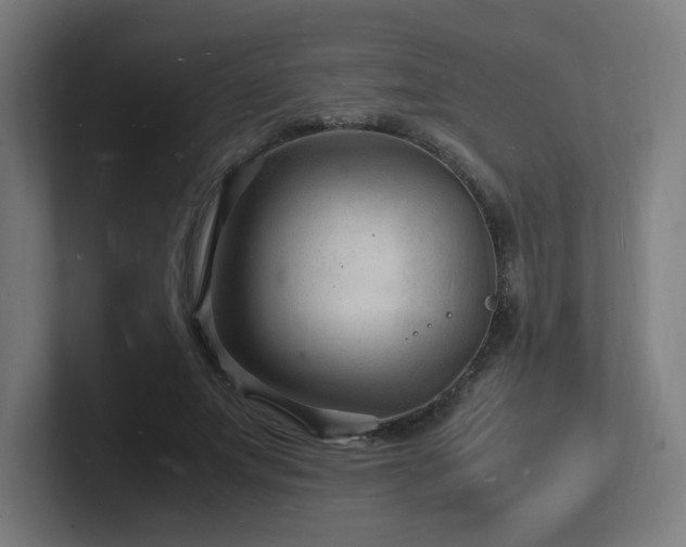 X0000102780687200808181150