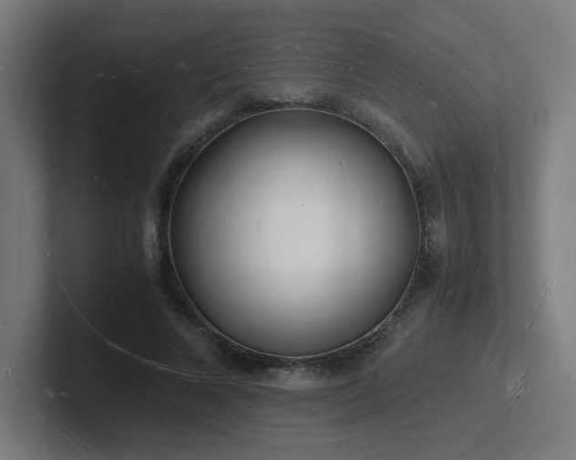 X0000102780688200808181150