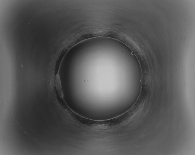 X0000102780689200808181150