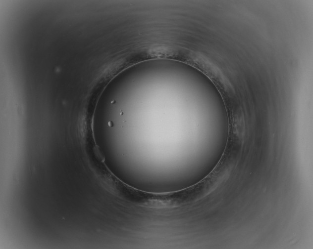 X0000102780690200808181150