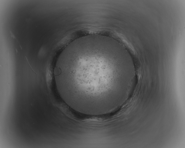 X0000102780691200808181150