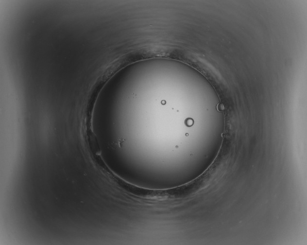 X0000102780693200808181150