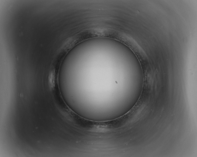 X0000102780694200808181150