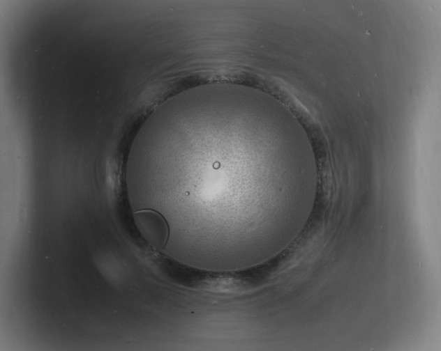 X0000102780695200808181150