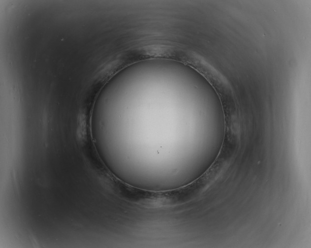 X0000102780696200808181150