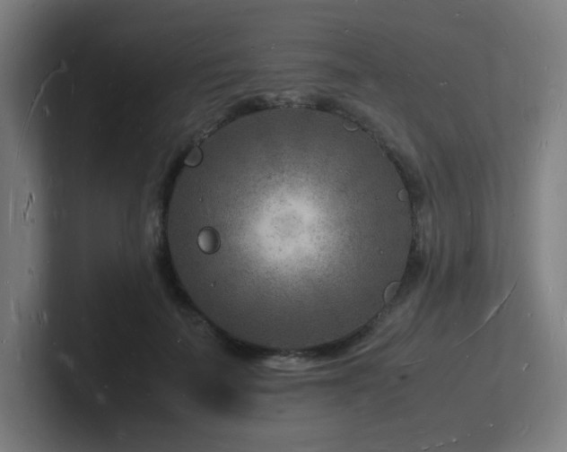 X0000102780699200808181150