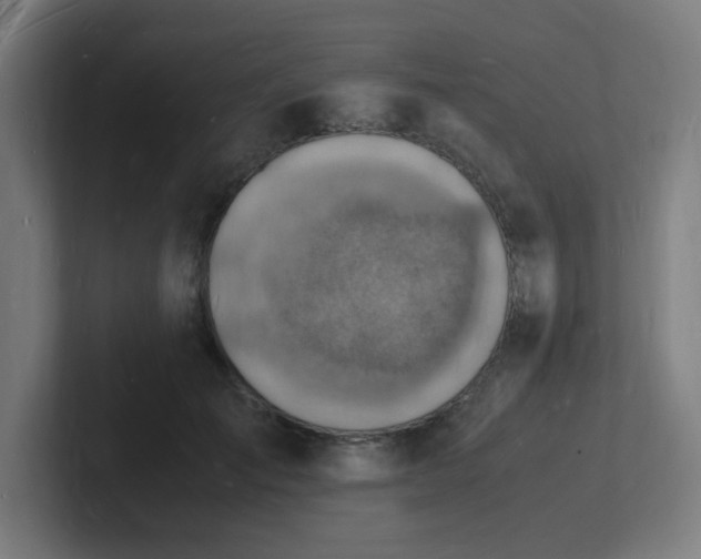 X0000102780701200808181150