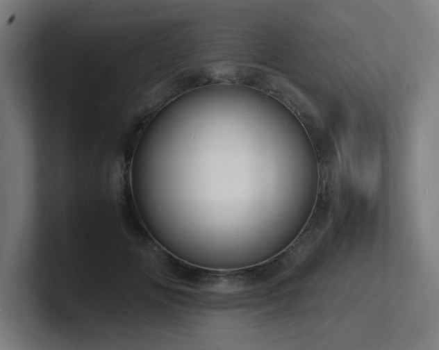 X0000102780702200808181150