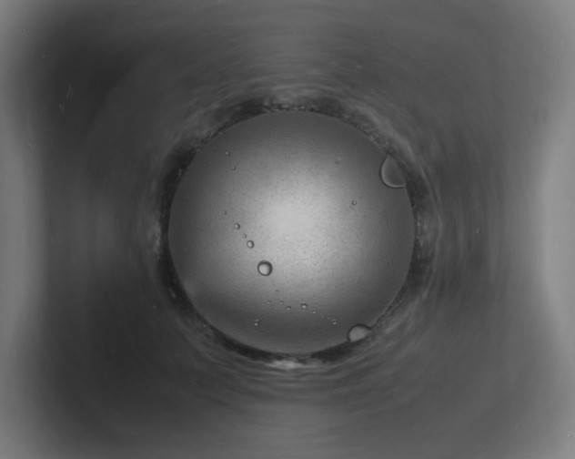 X0000102780703200808181150