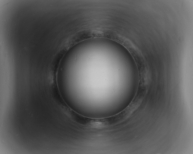 X0000102780706200808181150