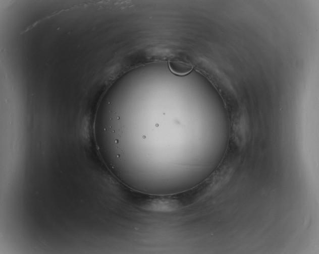 X0000102780708200808181150