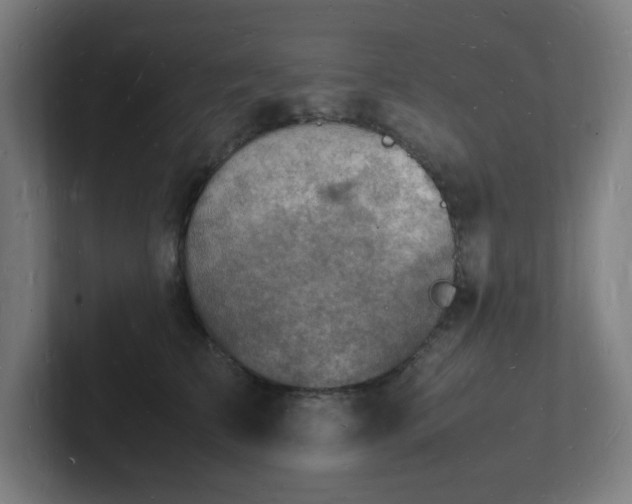 X0000102780709200808181150