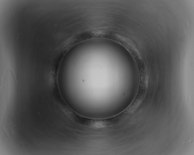 X0000102780710200808181150