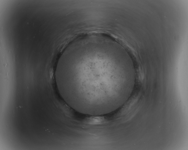 X0000102780711200808181150