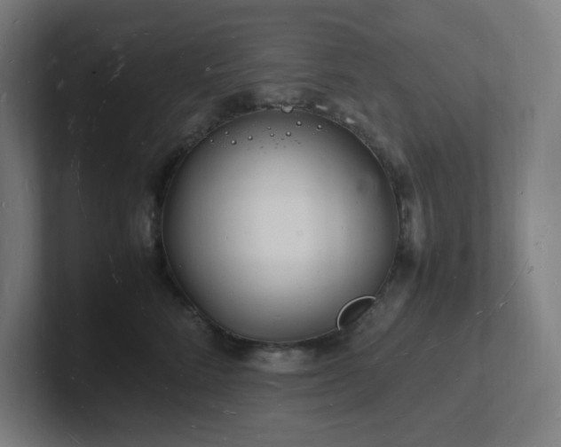 X0000102780712200808181150