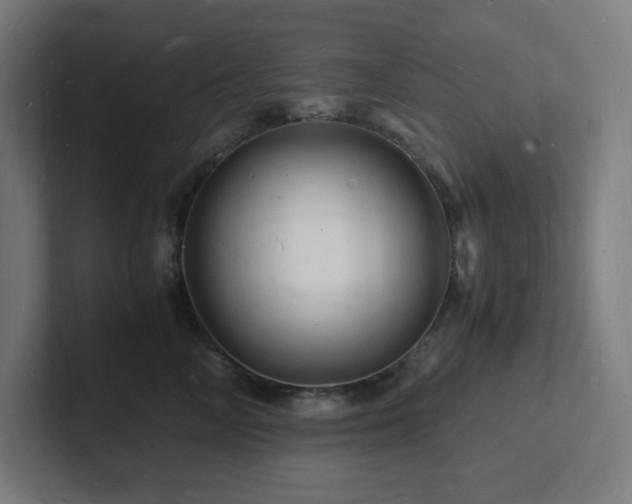 X0000102780714200808181150