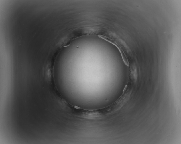 X0000102780716200808181150