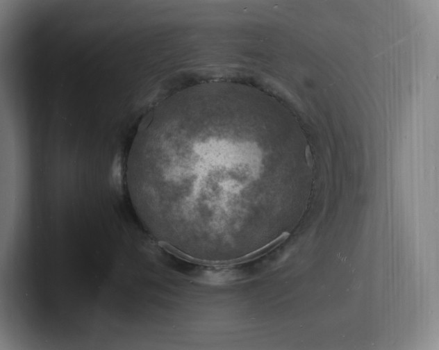 X0000102780720200808181150