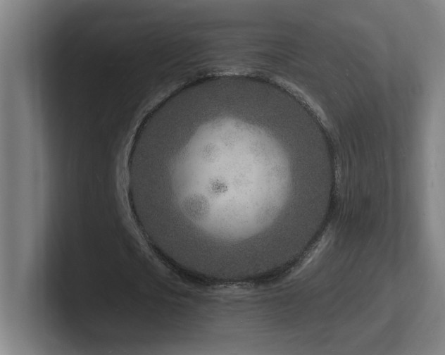 X0000102780721200808181149