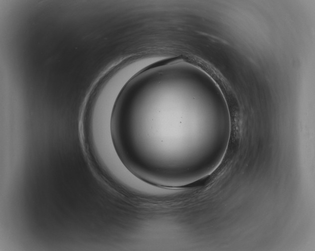 X0000102780726200808181149