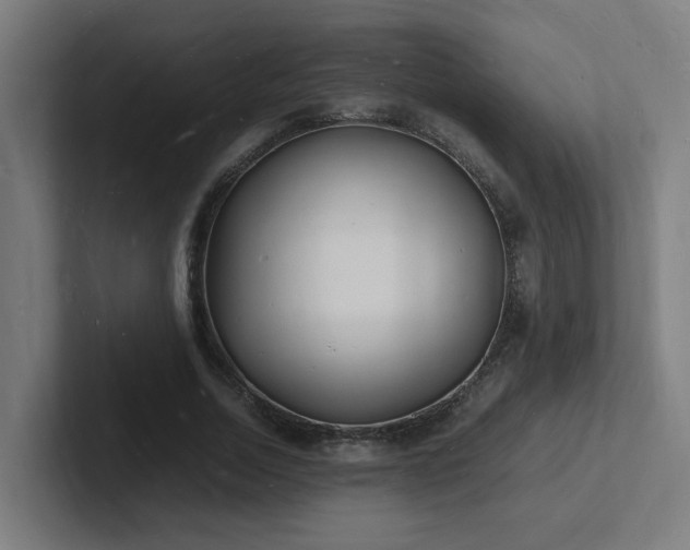 X0000102780730200808181149