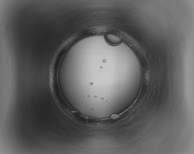 X0000102780732200808181149