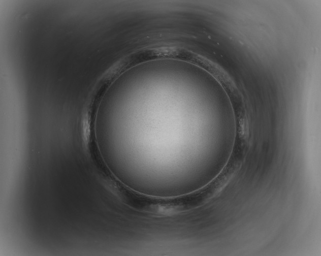 X0000102780733200808181149