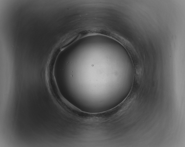 X0000102780734200808181149