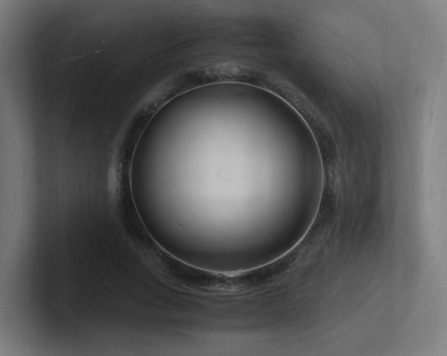 X0000102780735200808181149