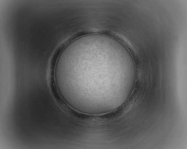 X0000102780736200808181149