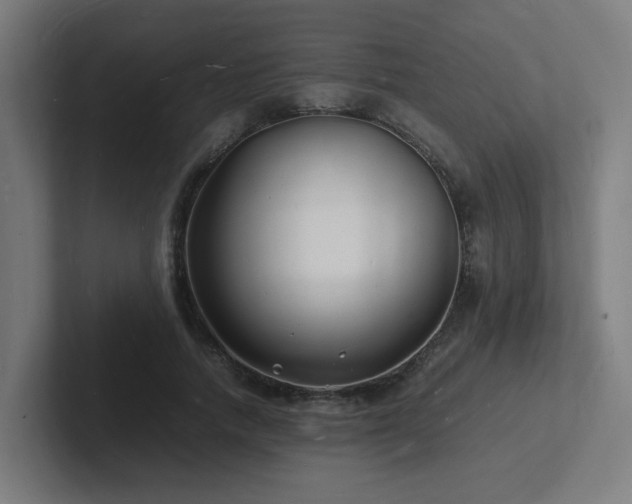 X0000102780738200808181149