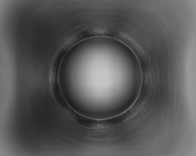 X0000102780739200808181149