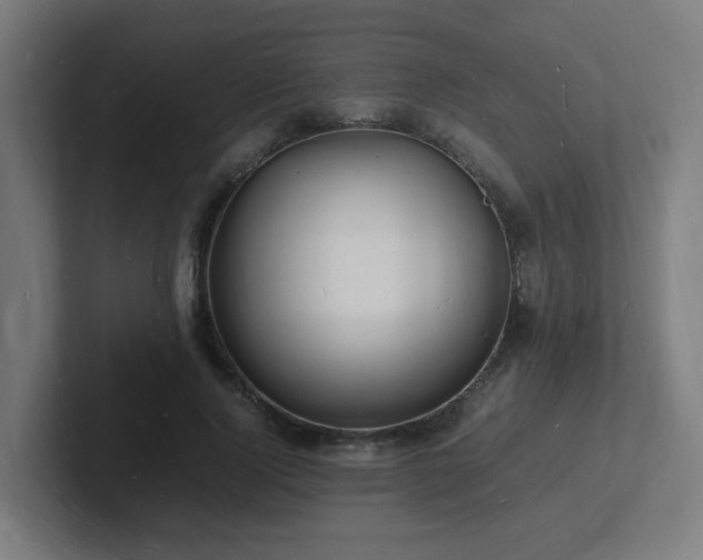 X0000102780740200808181149