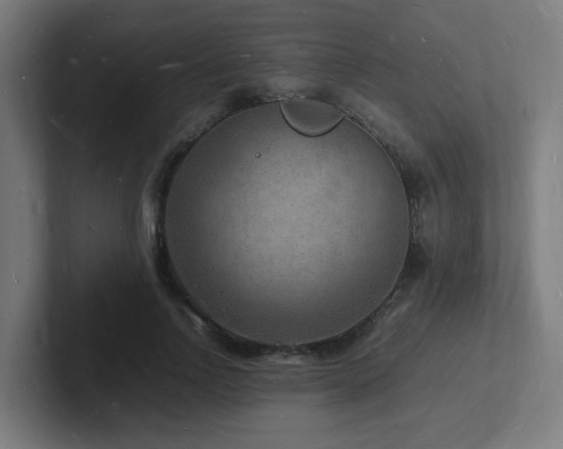 X0000102780742200808181149