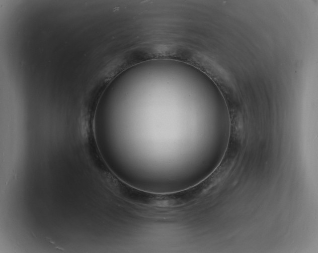 X0000102780746200808181149