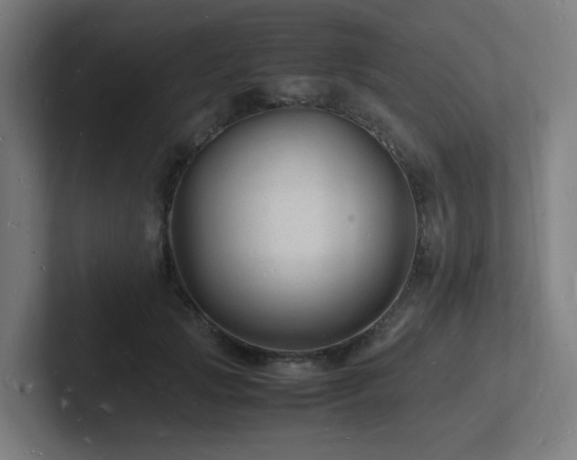 X0000102780749200808181149