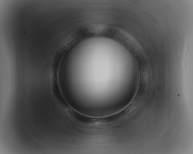 X0000102780750200808181149